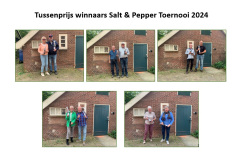 Tussenprijswinnaars