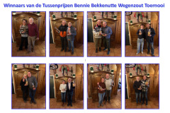 Tussenprijswinnaars